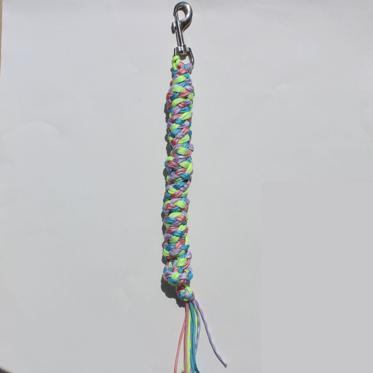 A handmade rainbow braided horse lead rope with a silver metal clasp