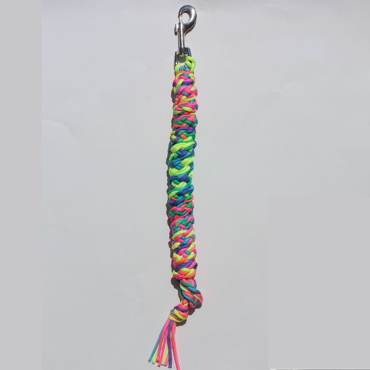 A vibrant, multicolored braided nylon horse lead rope with a silver metal lobster clasp at the top