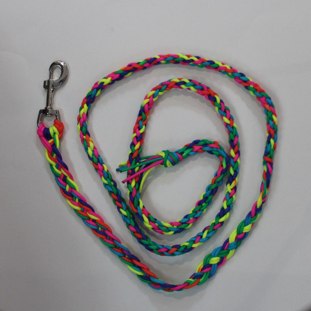 Neon Zebra Hand Braided Lead Rope