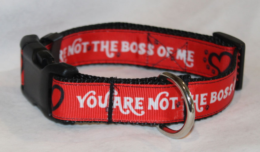 A red and black dog collar with white text reading 'YOU ARE NOT THE BOSS OF ME' and a black heart, featuring a black plastic buckle and a silver metal ring.