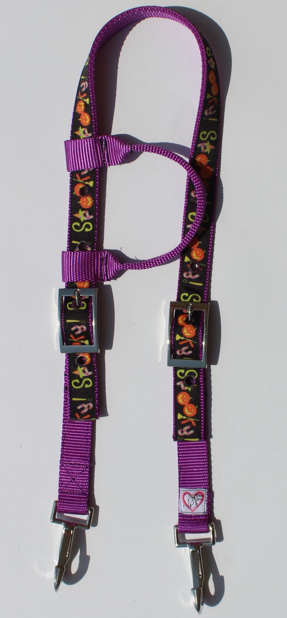Halloween Theme barrel racing tack