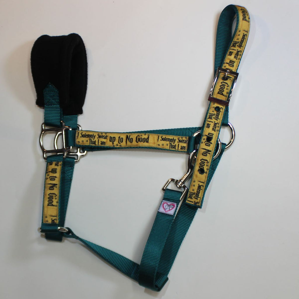 A horse halter made of teal webbing with yellow webbed panels printed with black text reading ' up to No Good'.