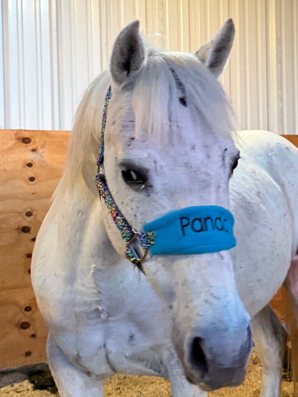 Personalized Tie Dye Cheetah Halter