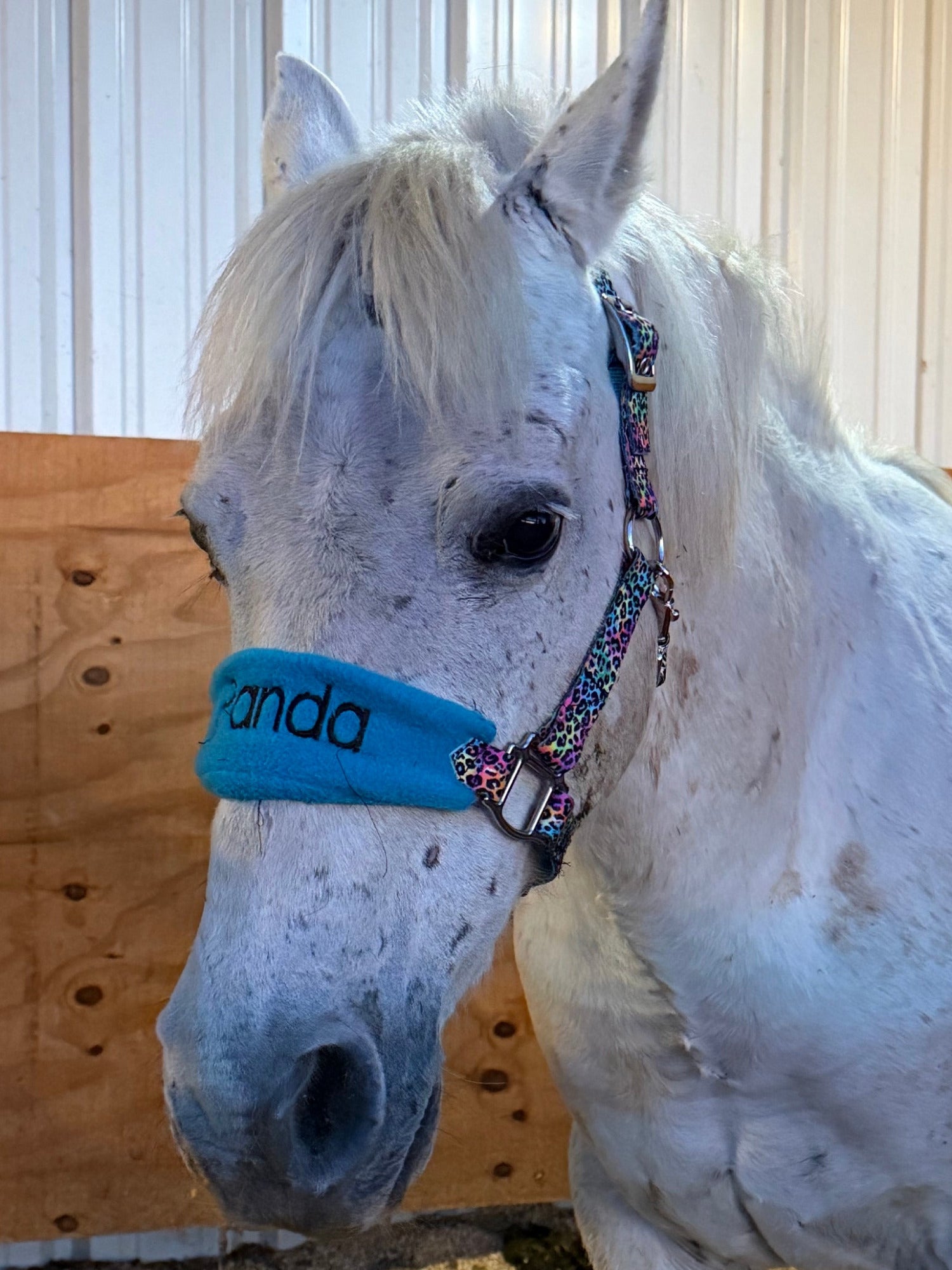 Personalized Tie Dye Cheetah Halter