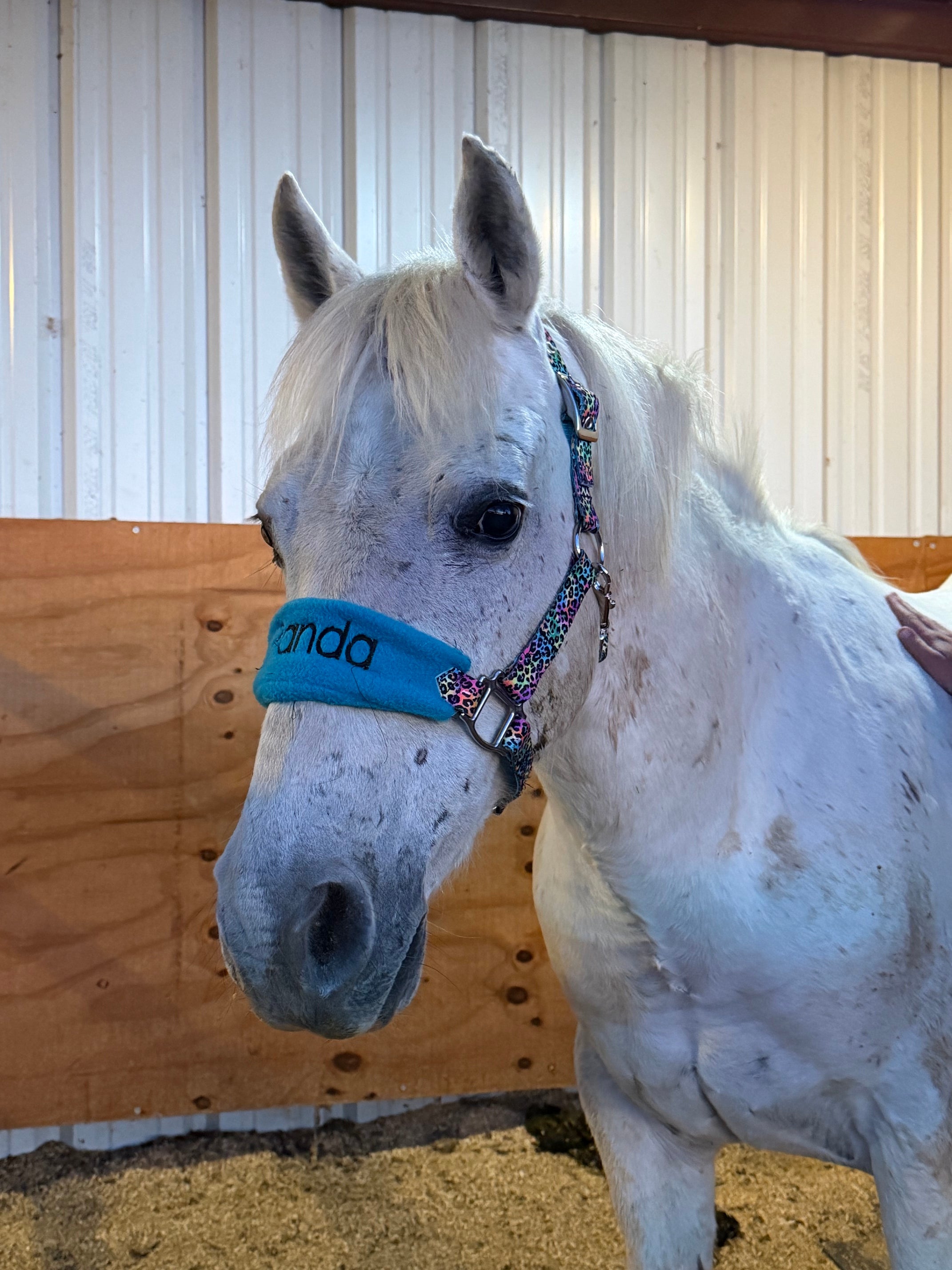 Personalized Tie Dye Cheetah Halter