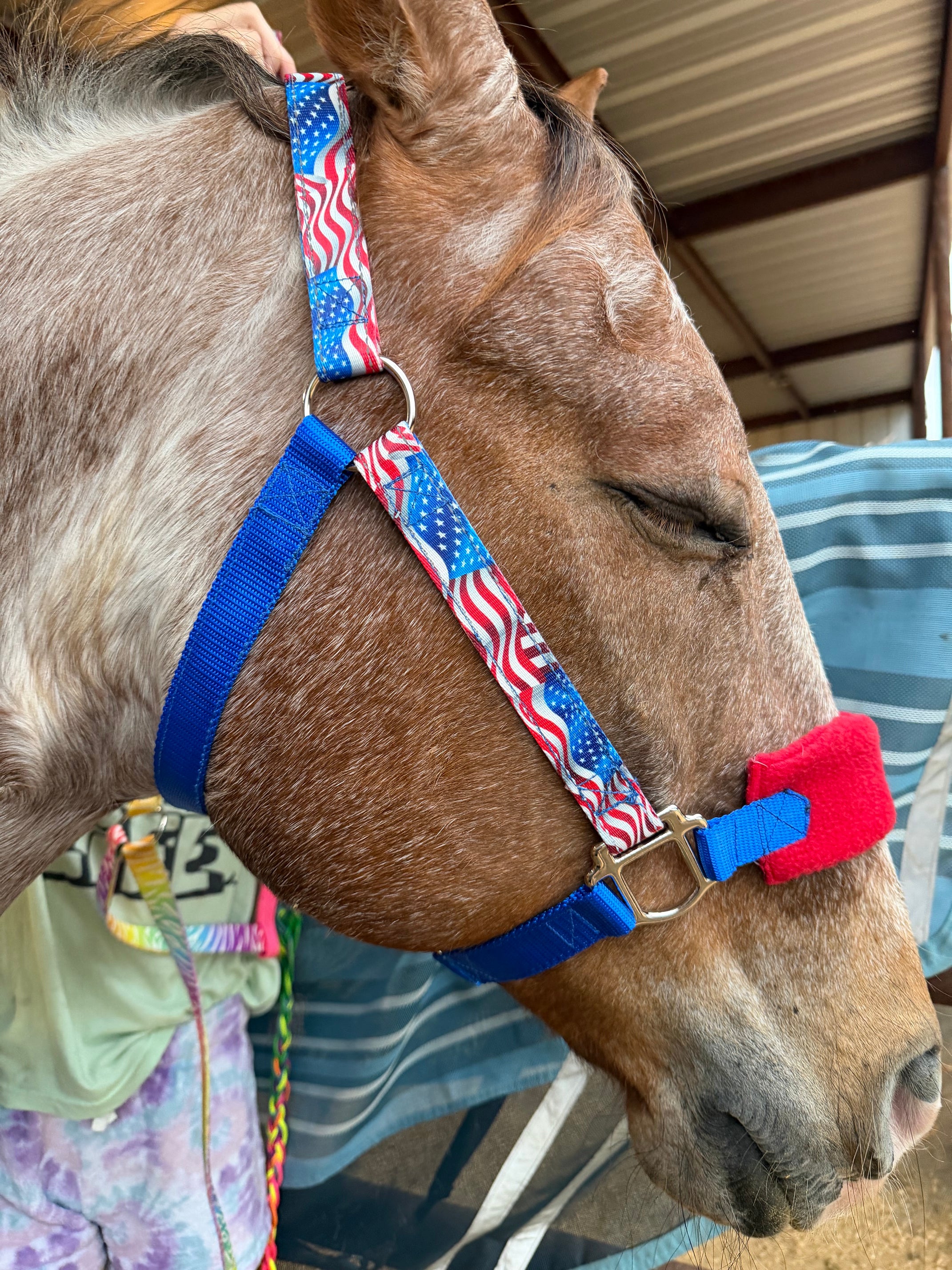 Personalized Patriotic Nylon Halter