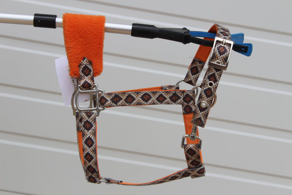 Personalized Rattlesnake Halter