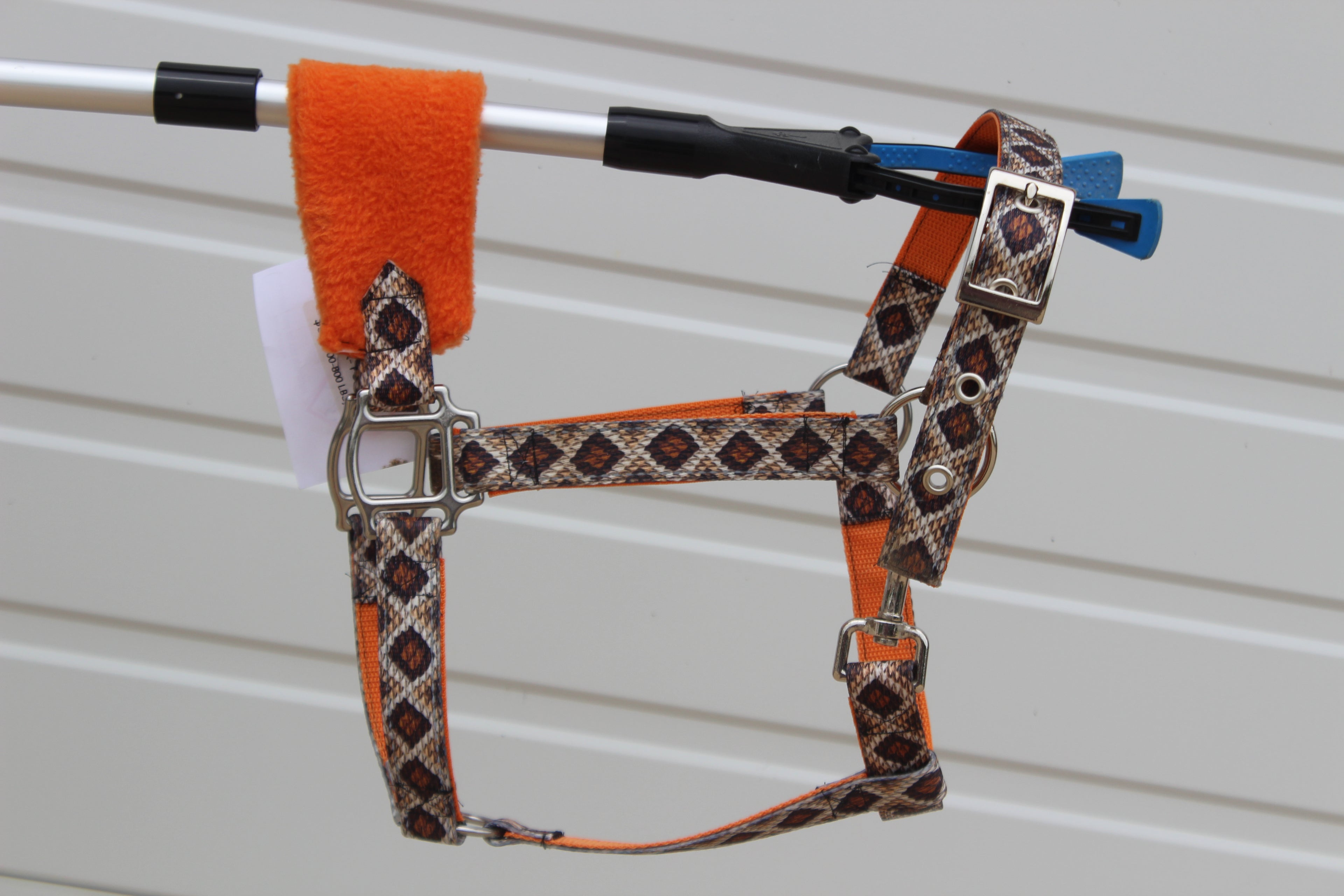 Personalized Rattlesnake Halter