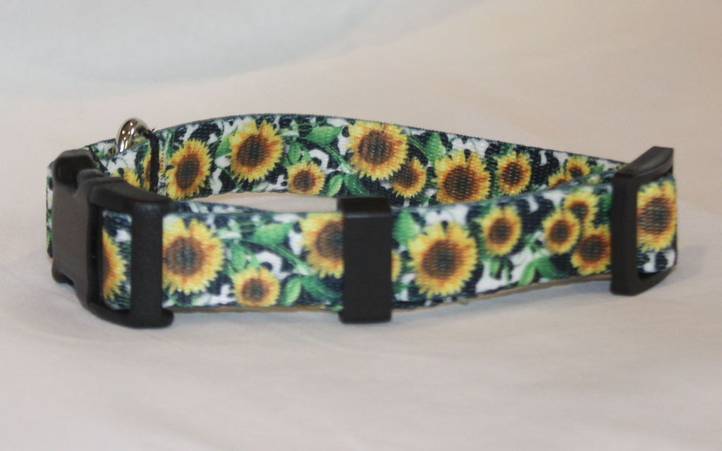 Sunflowers and Cows Dog Collar