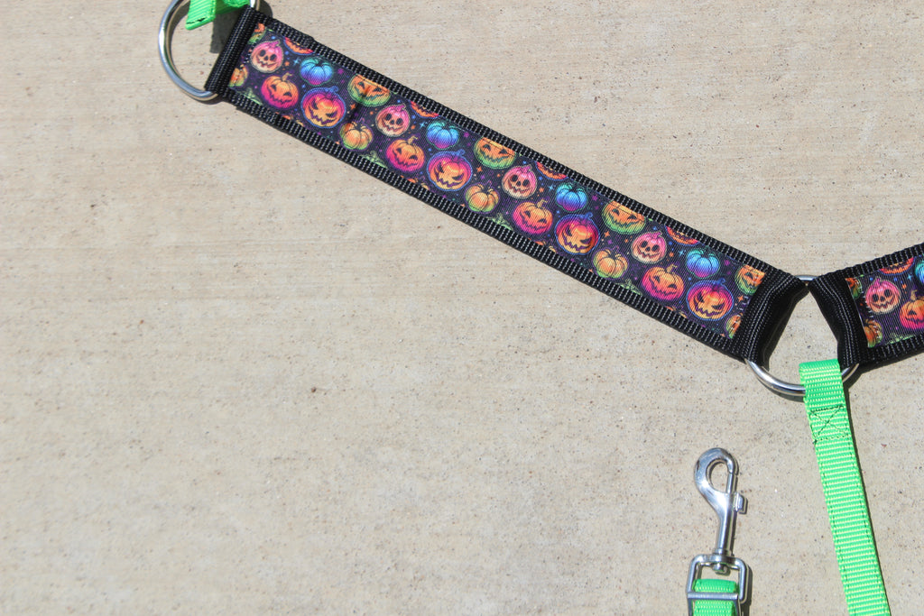Colorful Pumpkin Breast collar