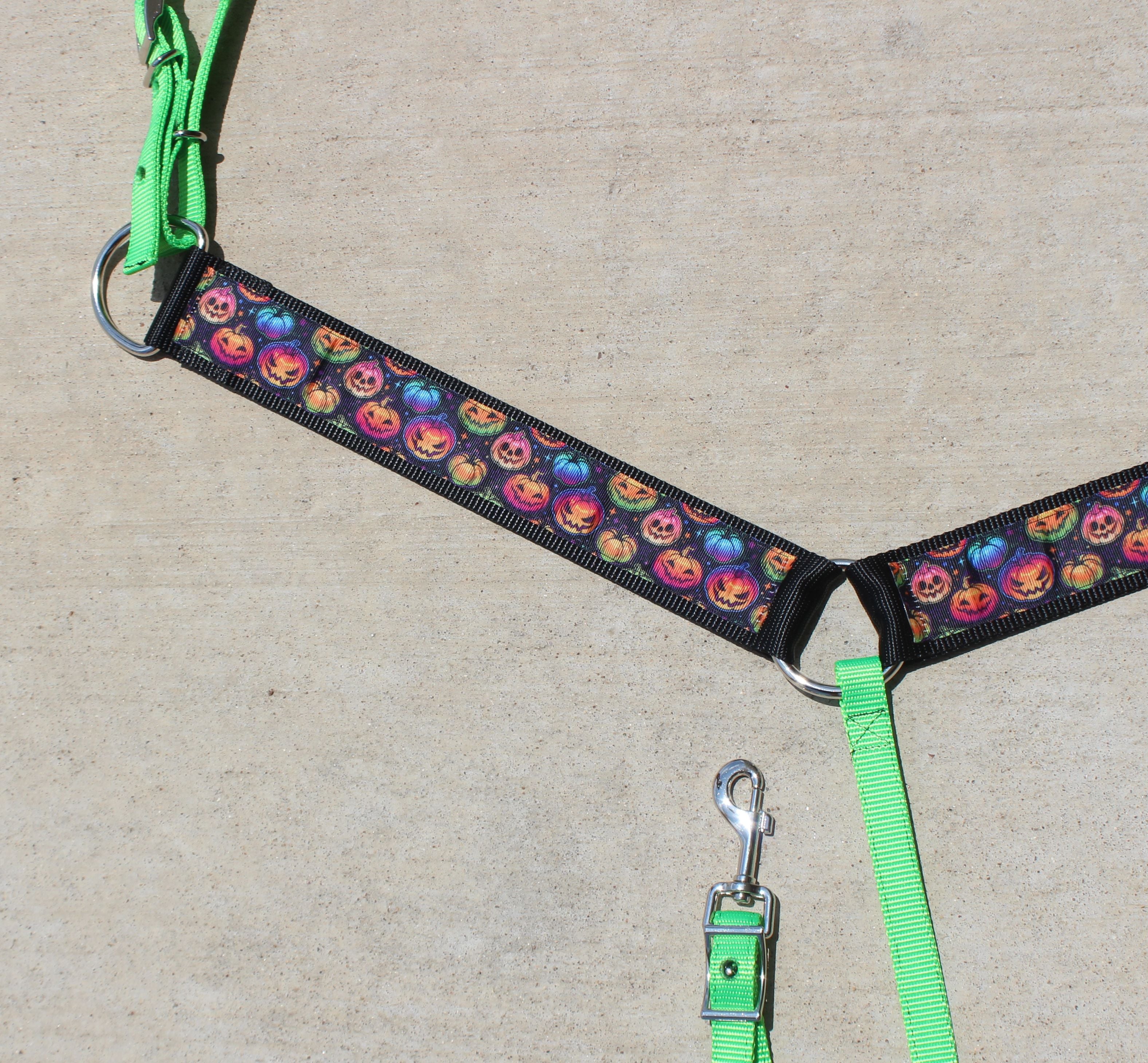 Colorful Pumpkin Breast collar