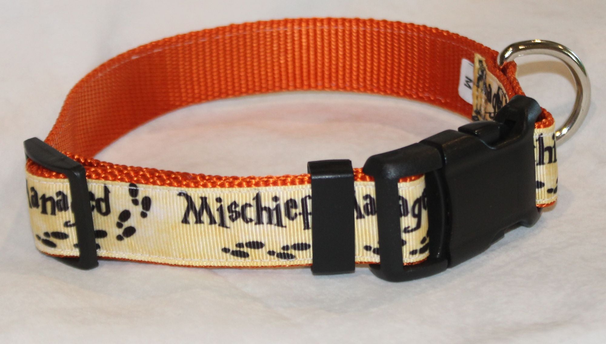 Mischief Managed Halloween Dog Collar