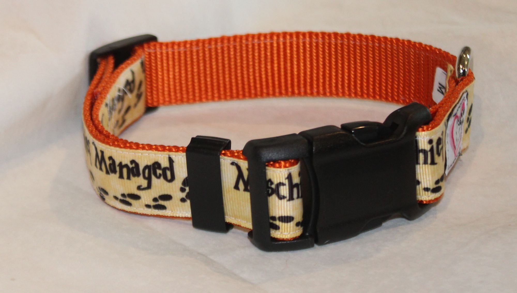 Mischief Managed Halloween Dog Collar