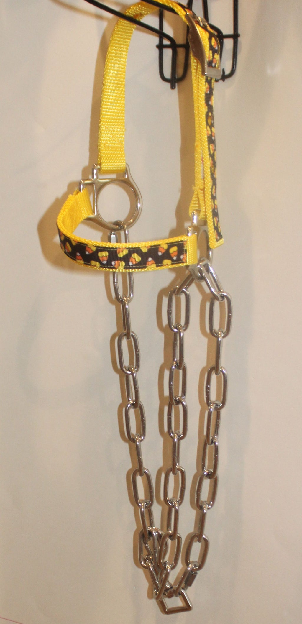 Candy Corn Sheep Halter