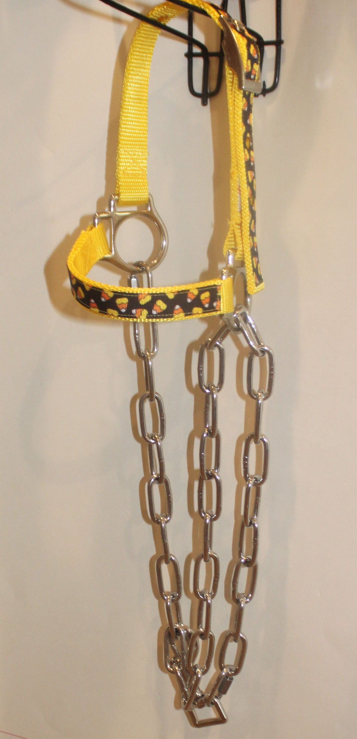 Candy Corn Sheep Halter