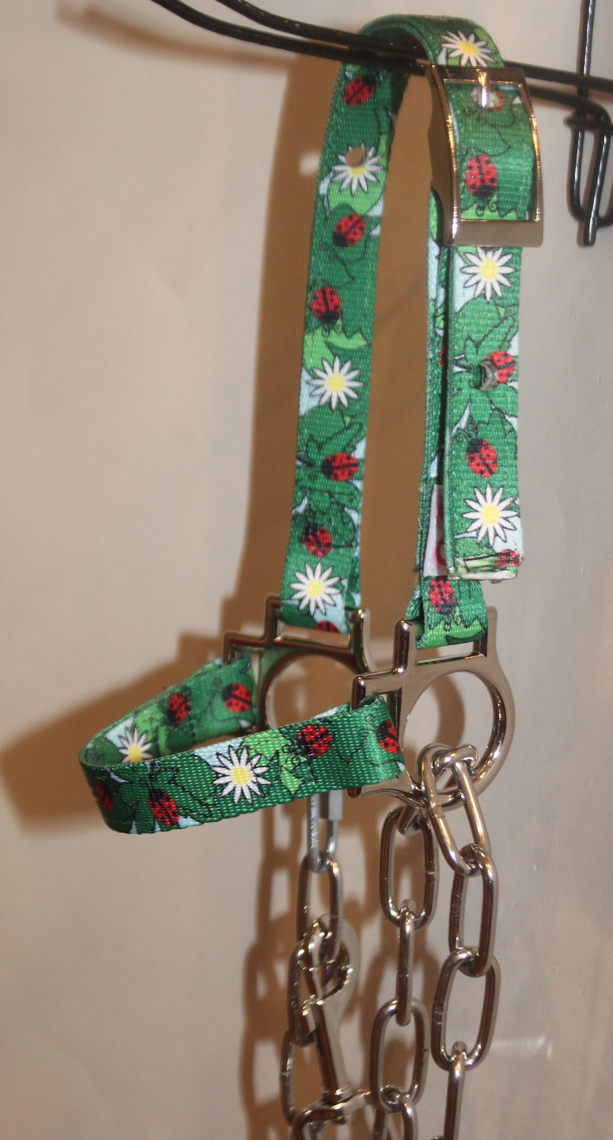 Ladybug Sheep Halter