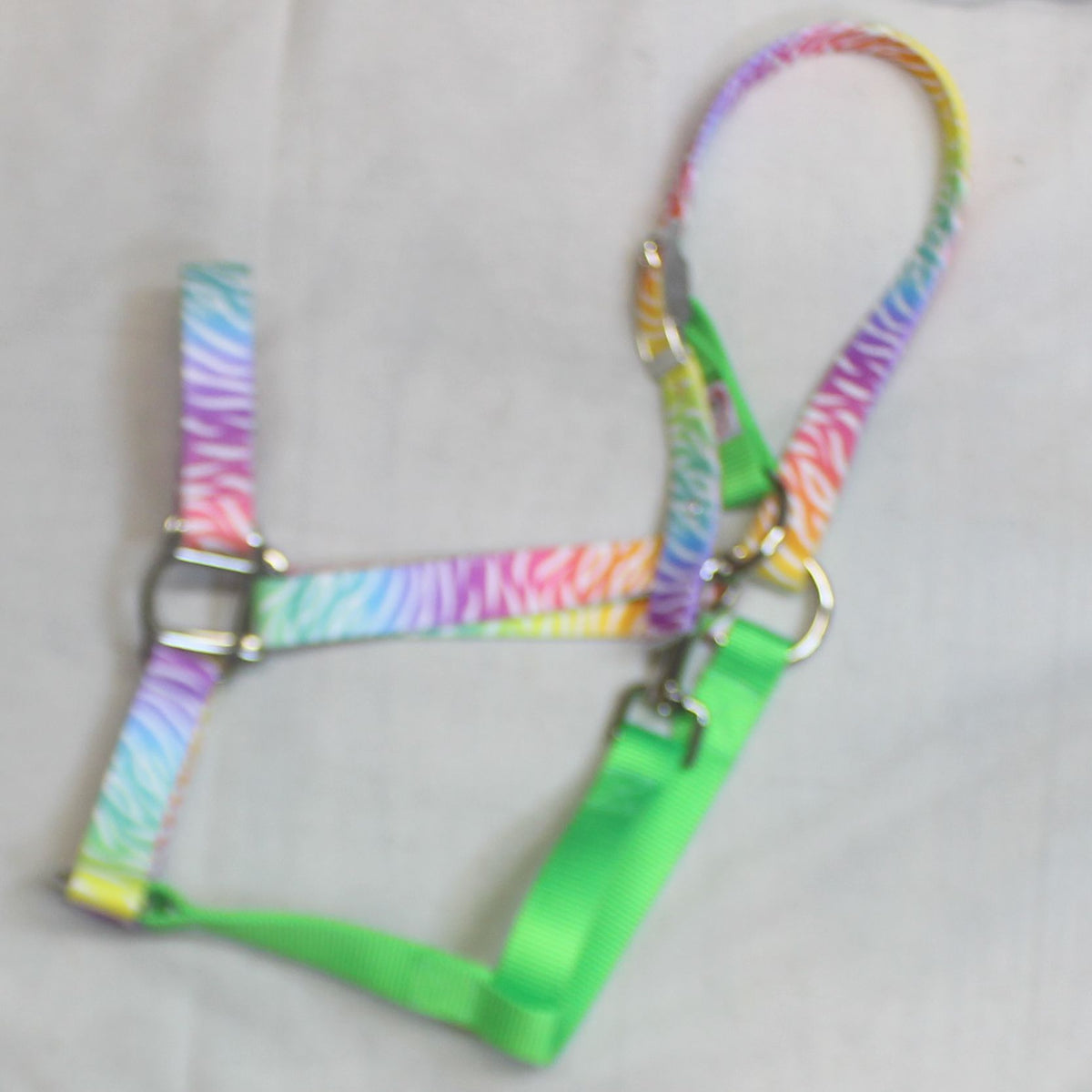 Neon Zebra Nylon Halter