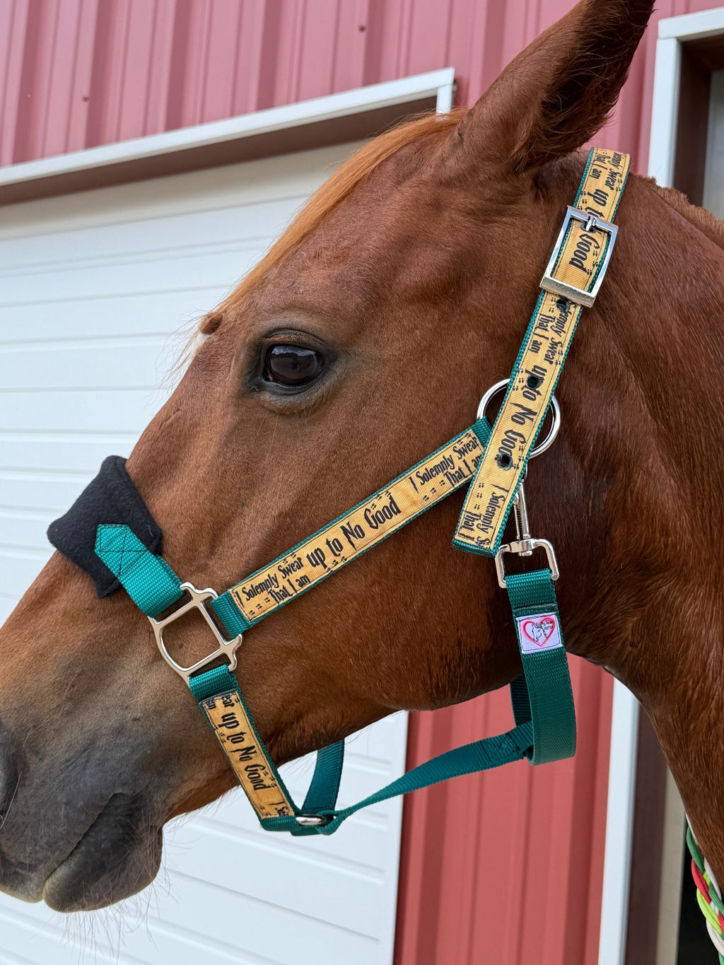 Personalized "Up to No Good" Halter