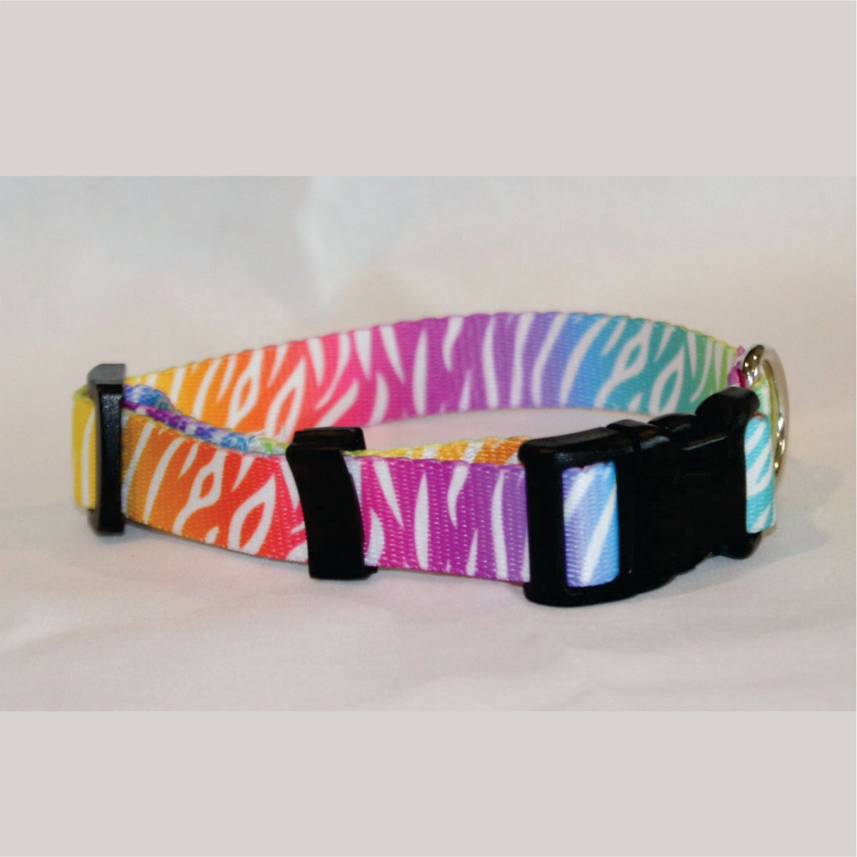 Neon Colored Zebra dog collar