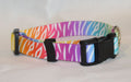 A colorful dog collar with a vibrant rainbow zebra print pattern and black plastic buckle, displayed on a light neutral background.