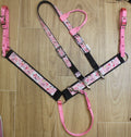 Panther Breast collar and Headstall for horse
