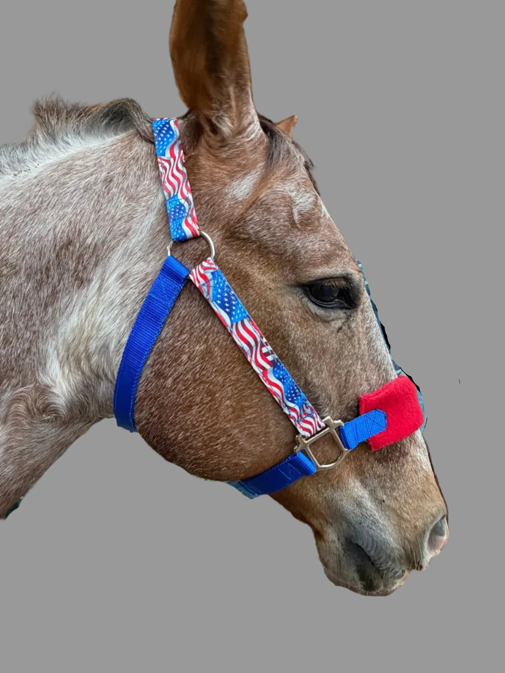 Patriotic Nylon Horse Halter