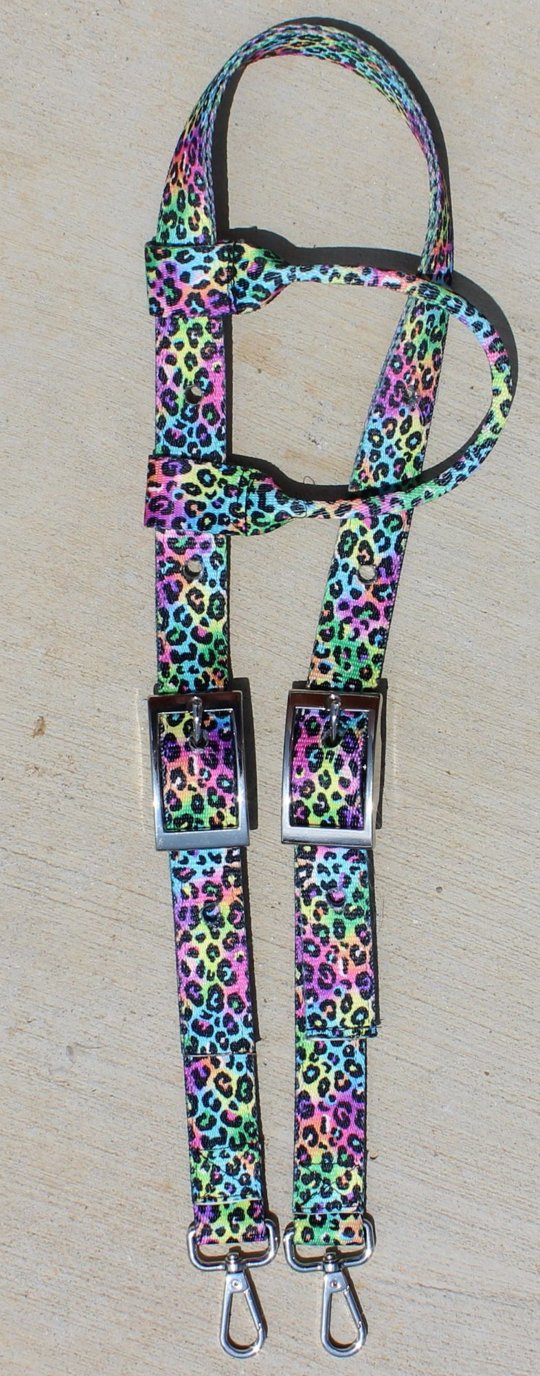 Horse Headstall colorful