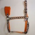 An orange and patterned horse halter with a matching orange and rattlesnake pattern, and a padded orange noseband.