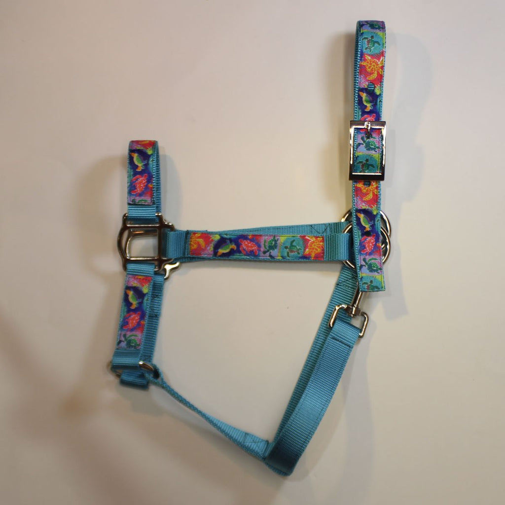 Ahorse halter made of bright blue nylon webbing with a colorful sea turtle pattern on the straps, featuring silver metal buckles and rings