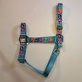 Ahorse halter made of bright blue nylon webbing with a colorful sea turtle pattern on the straps, featuring silver metal buckles and rings