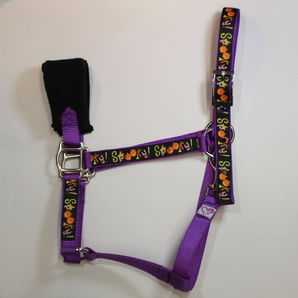 A purple horse halter with a black nose band and silver metal hardware, decorated with a 'Spooky " Halloween pattern featuring pumpkins, ghosts, and the word 'Spooky' on the webbing straps.