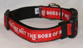 A red and black dog collar with the text 'YOU ARE NOT THE BOSS OF ME' printed in white, featuring black plastic buckles and a silver metal ring.