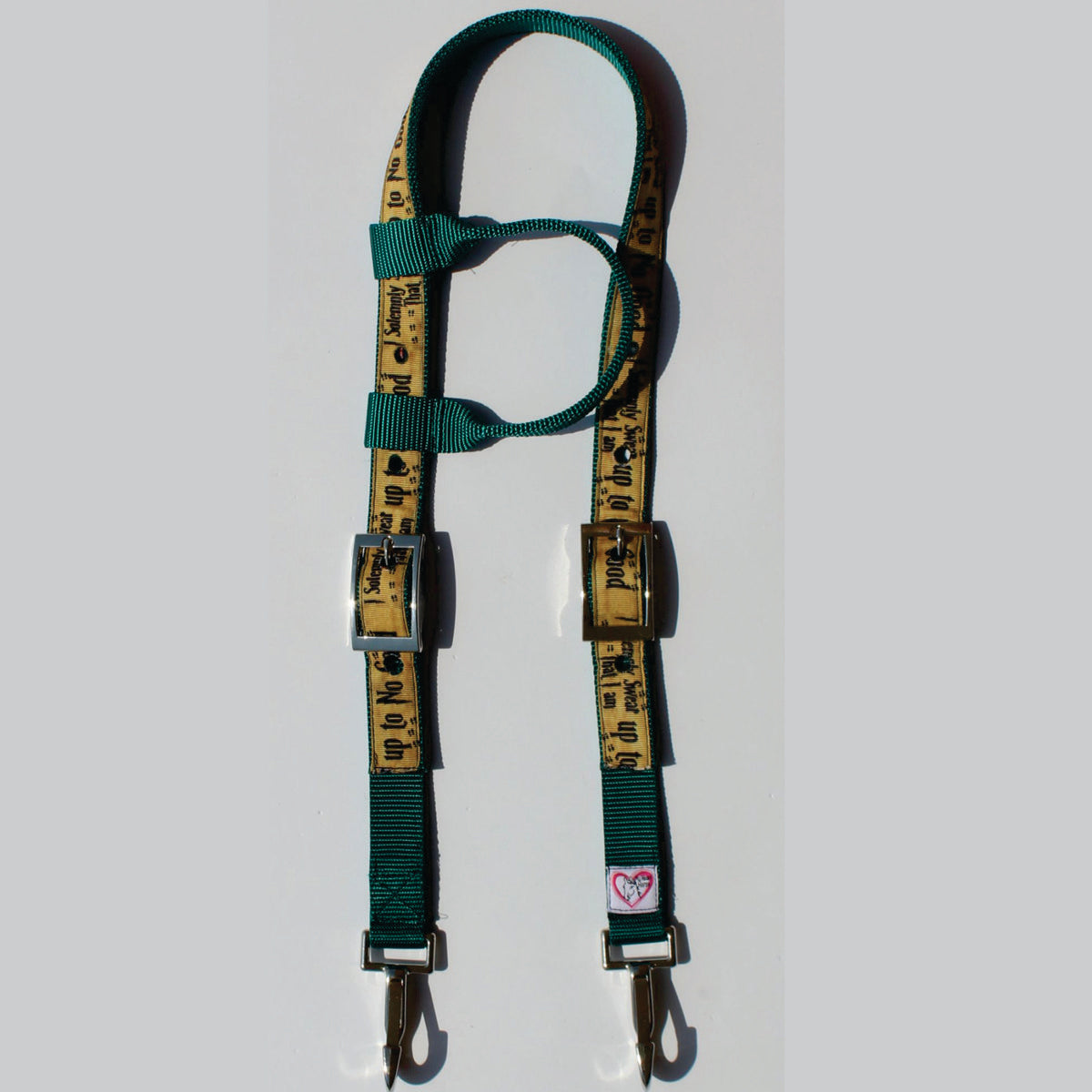 A teal patterned horse headstall 'no good' with metal buckles and clips
