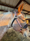 Personalized Chicken Nugget Halter