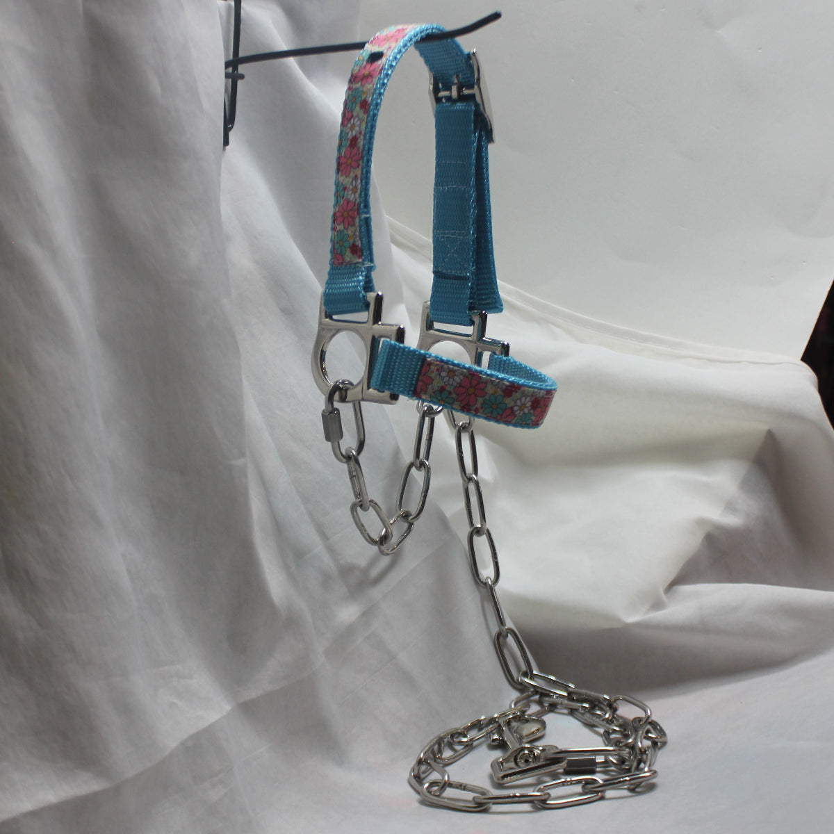 crazy Daisy sheep or goat halter