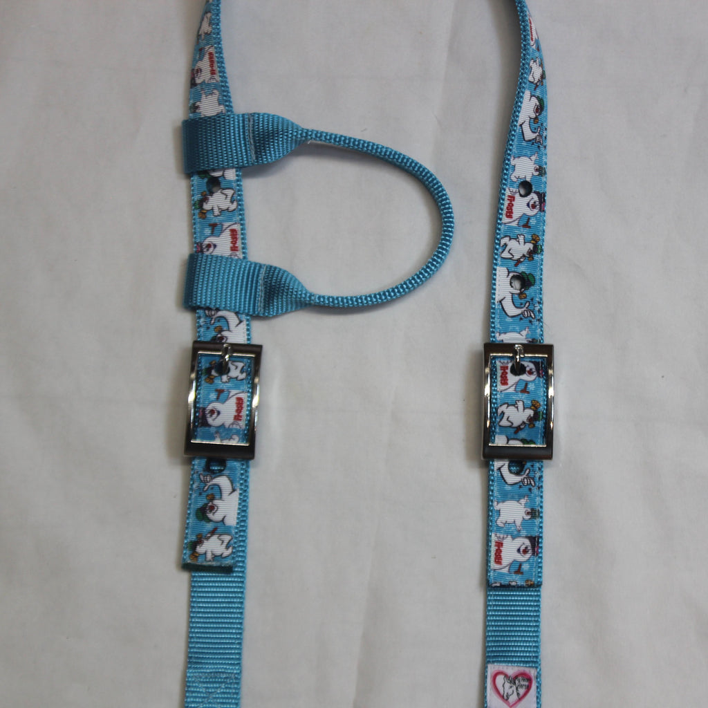 Frosty in Blue Headstall
