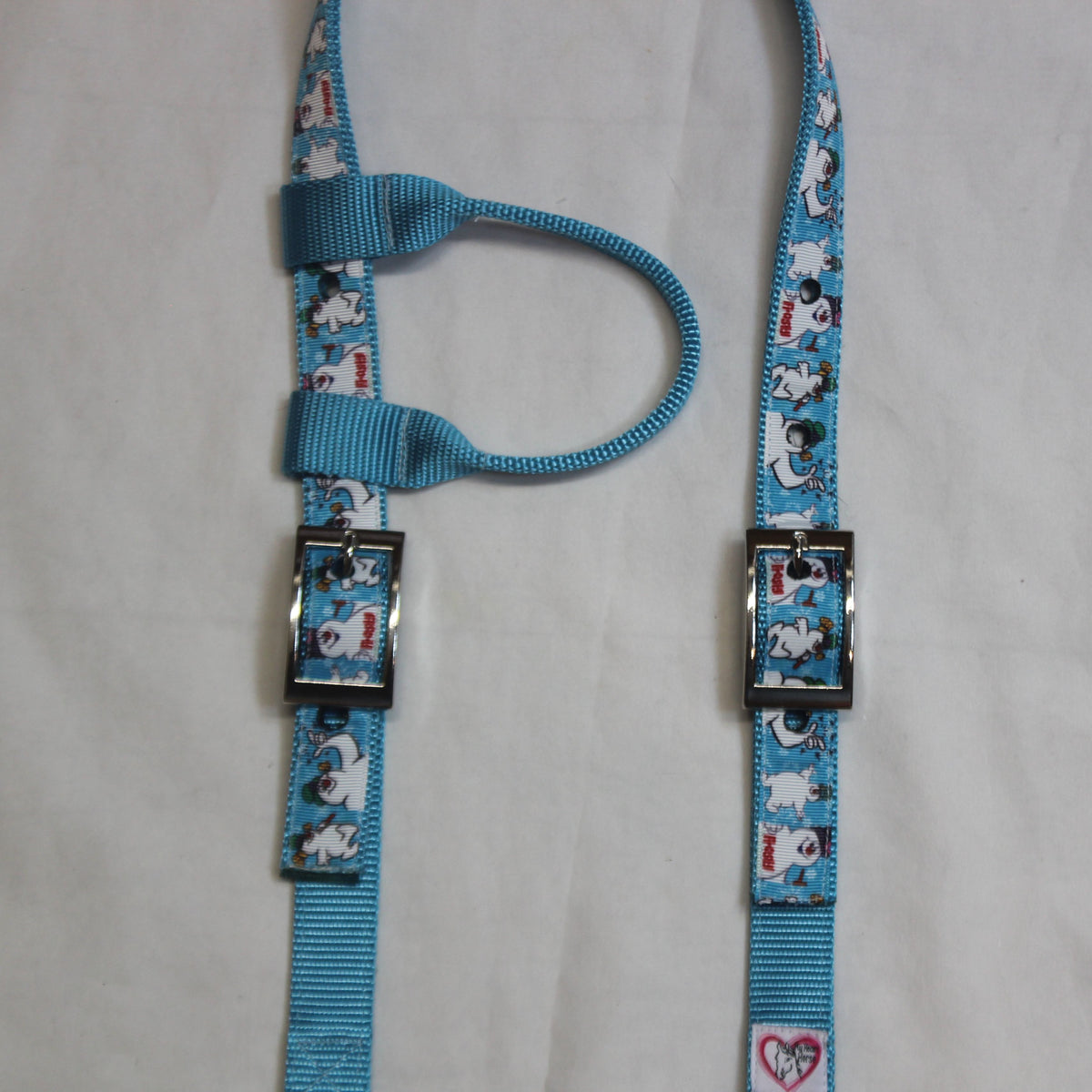 Frosty in Blue Headstall