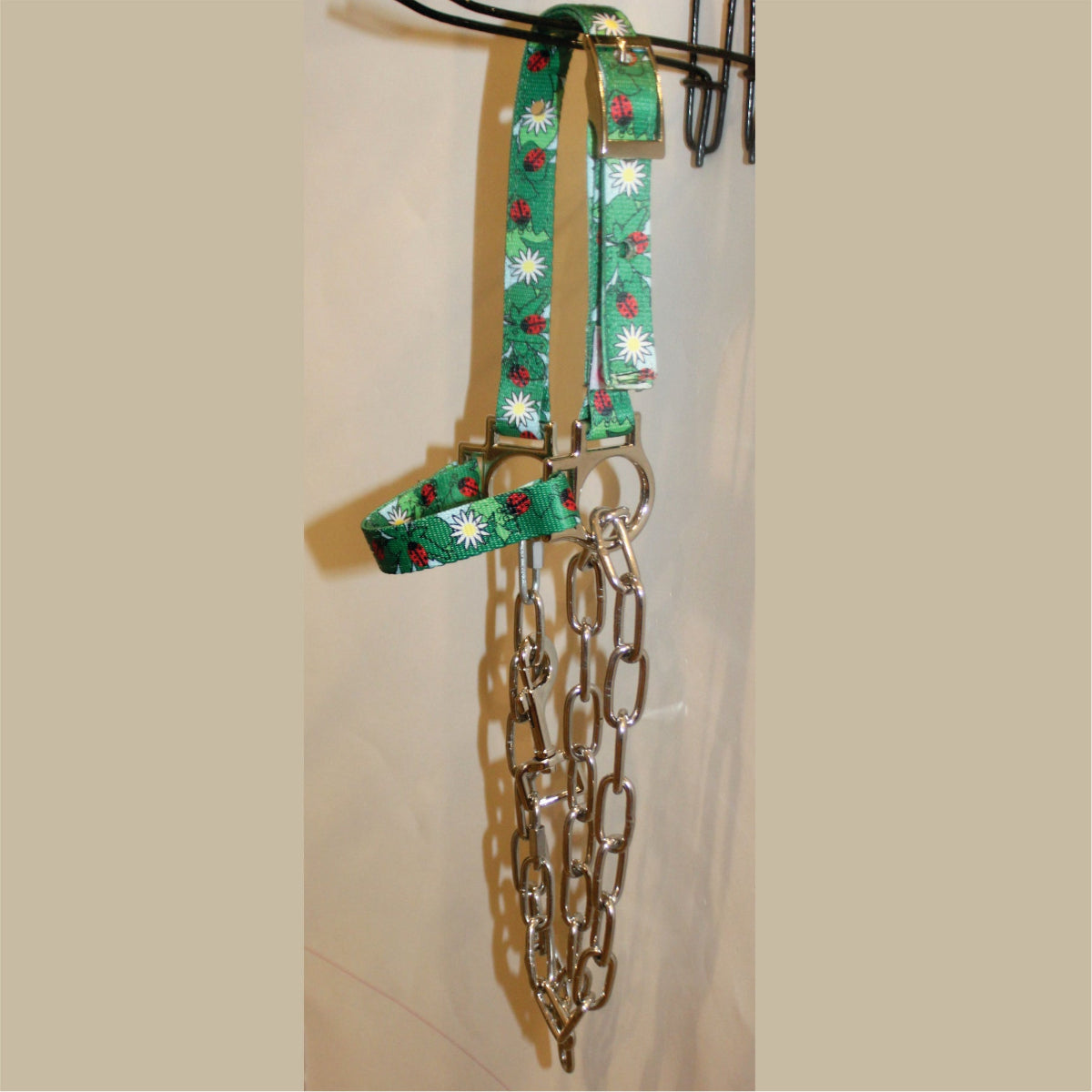 Ladybug goat halter with chain