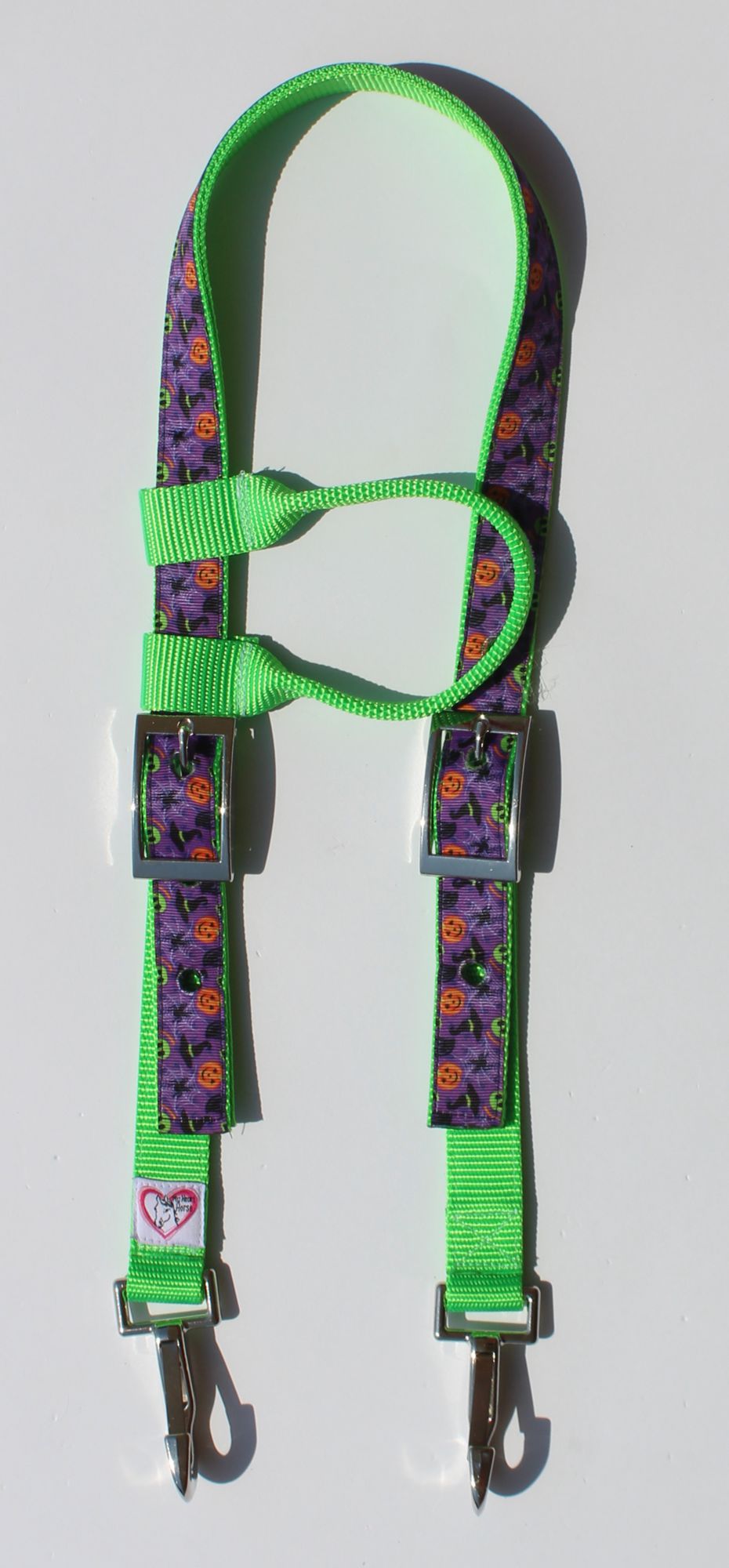 Halloween Theme barrel racing tack