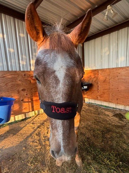 Personalized Chicken Nugget Halter