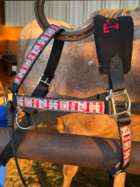 Horse bridle with red and white patterned straps on a b;lack background