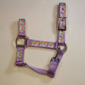 A purple horse halter with a colorful rainbow and unicorn pattern on the webbing,