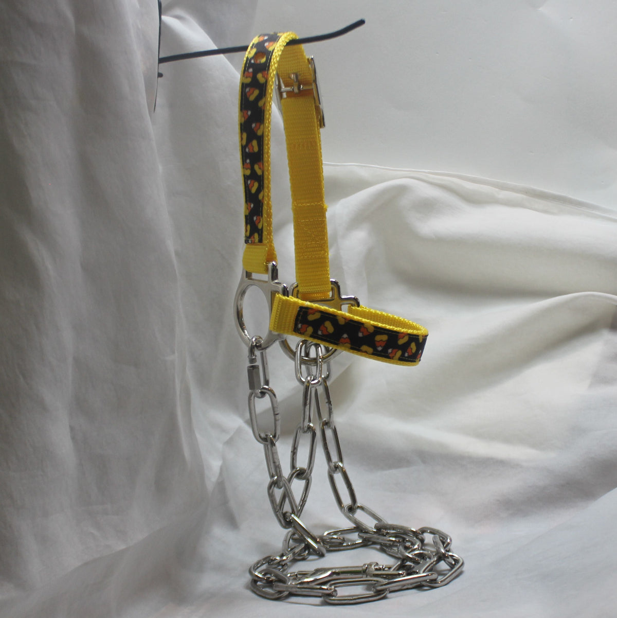 yellow Candy Corn goat and sheep halter